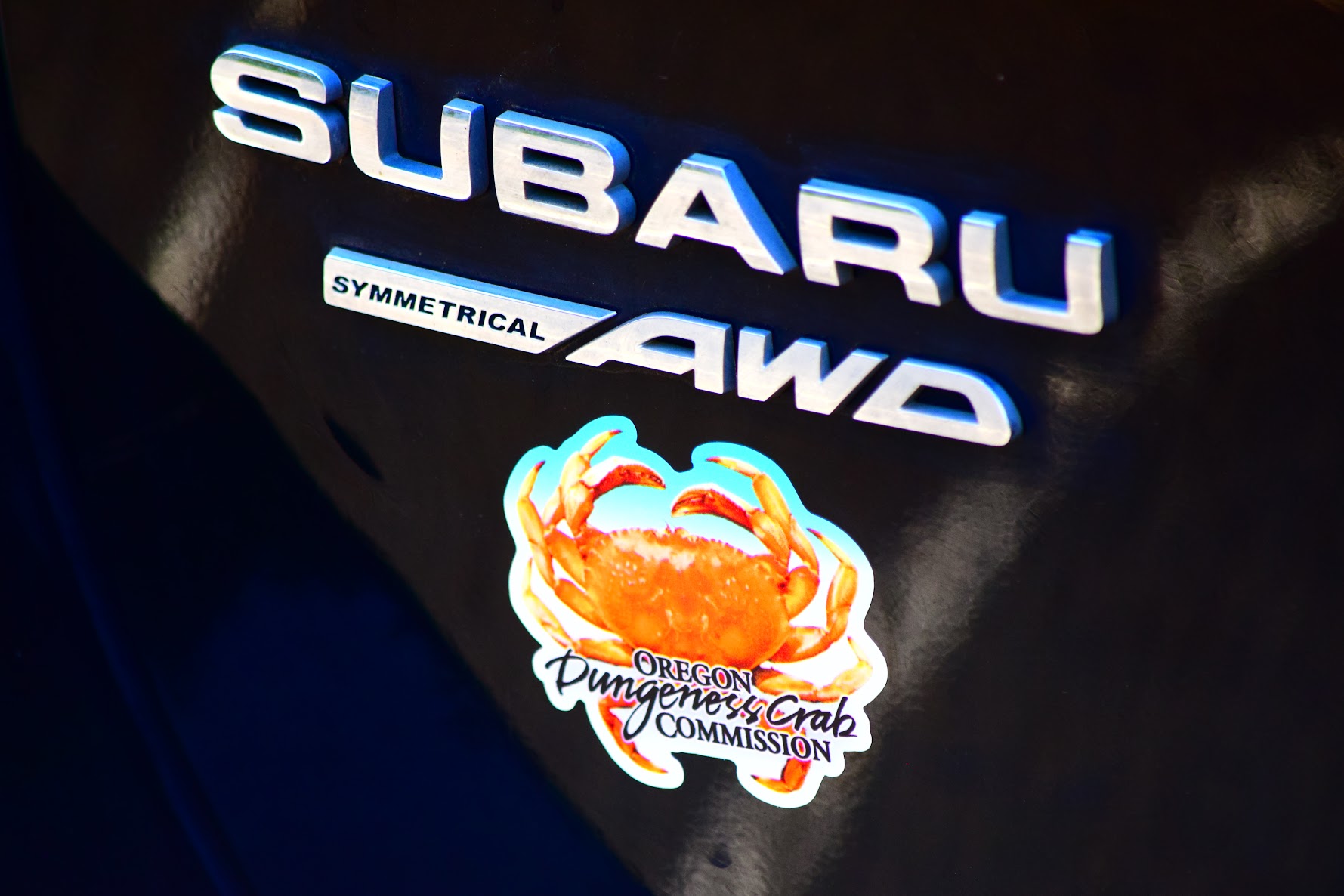 Crab Design Sticker - Custom Die Cut Oregon